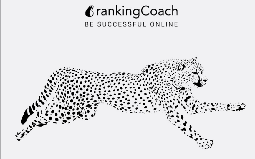 Velocidade da página faz toda diferença no SEO