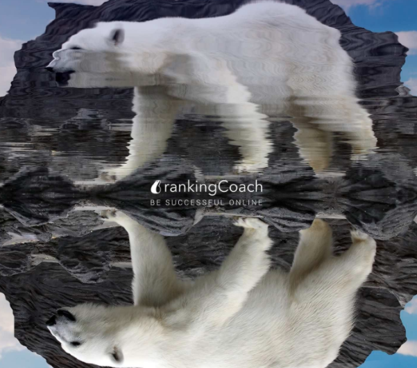 Search Engine trends and climate change