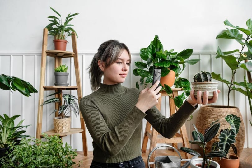 4 eenvoudige tips om uw bedrijf te laten groeien door middel van Social Media Optimalisatie (SMO)