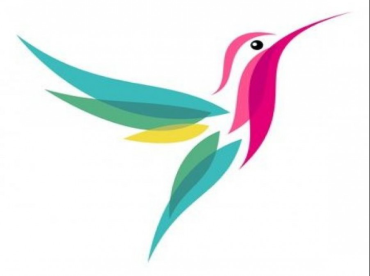 Googles  Hummingbird