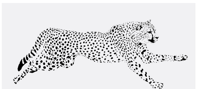 <span id="hs_cos_wrapper_name" class="hs_cos_wrapper hs_cos_wrapper_meta_field hs_cos_wrapper_type_text" style="" data-hs-cos-general-type="meta_field" data-hs-cos-type="text" >Szybkość jest ważna dla SEO</span>