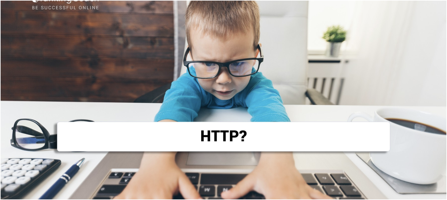 What Are HTTP Status Codes?